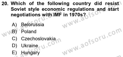 Global Political Economy Dersi 2020 - 2021 Yılı Yaz Okulu Sınav Soruları 20. Soru