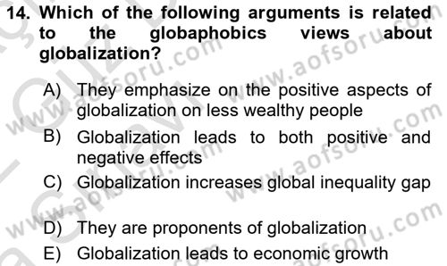 Global Political Economy Dersi 2021 - 2022 Yılı (Vize) Ara Sınav Soruları 14. Soru