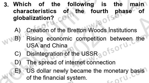 Global Political Economy Dersi 2021 - 2022 Yılı (Vize) Ara Sınav Soruları 3. Soru