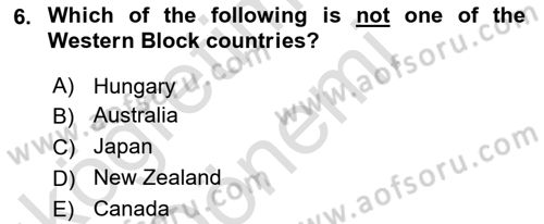 Global Political Economy Dersi 2021 - 2022 Yılı (Vize) Ara Sınav Soruları 6. Soru