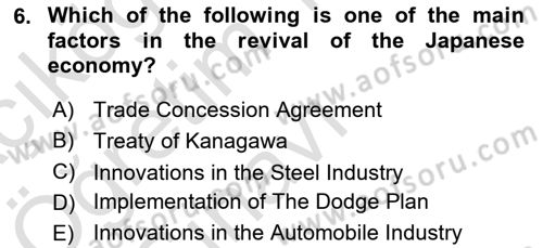 Global Political Economy Dersi 2021 - 2022 Yılı Yaz Okulu Sınav Soruları 6. Soru