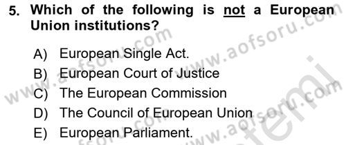 Global Political Economy Dersi 2022 - 2023 Yılı (Vize) Ara Sınav Soruları 5. Soru