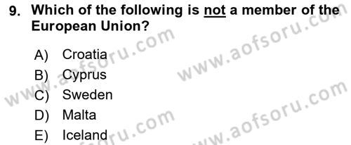 Global Political Economy Dersi 2022 - 2023 Yılı (Vize) Ara Sınav Soruları 9. Soru