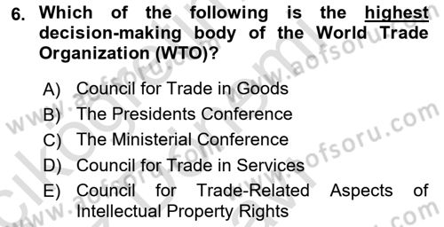 Global Political Economy Dersi 2022 - 2023 Yılı (Final) Dönem Sonu Sınav Soruları 6. Soru