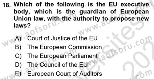 Global Political Economy Dersi 2023 - 2024 Yılı (Final) Dönem Sonu Sınav Soruları 18. Soru