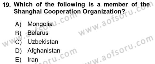 Global Political Economy Dersi 2023 - 2024 Yılı (Final) Dönem Sonu Sınav Soruları 19. Soru