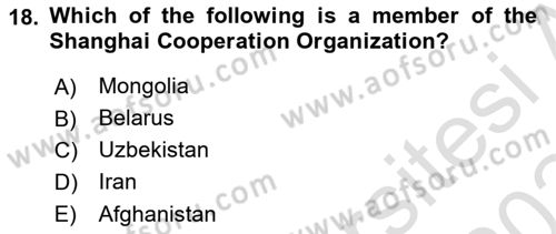 Global Political Economy Dersi 2023 - 2024 Yılı Yaz Okulu Sınav Soruları 18. Soru