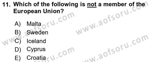 Global Political Economy Dersi 2024 - 2025 Yılı (Vize) Ara Sınav Soruları 11. Soru