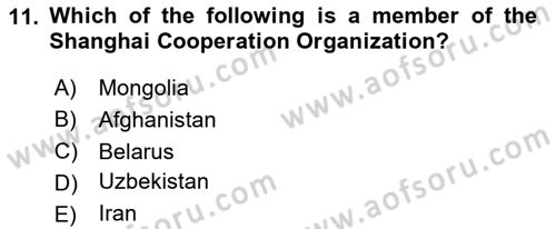 Global Political Economy Dersi 2024 - 2025 Yılı (Final) Dönem Sonu Sınav Soruları 11. Soru