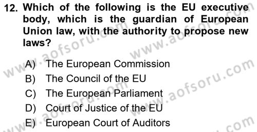 Global Political Economy Dersi 2024 - 2025 Yılı (Final) Dönem Sonu Sınav Soruları 12. Soru