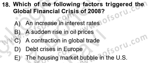 Global Political Economy Dersi 2024 - 2025 Yılı (Final) Dönem Sonu Sınav Soruları 18. Soru
