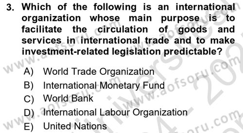 Global Political Economy Dersi 2024 - 2025 Yılı (Final) Dönem Sonu Sınav Soruları 3. Soru