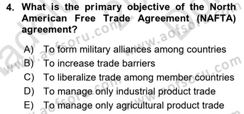Global Political Economy Dersi 2024 - 2025 Yılı (Final) Dönem Sonu Sınav Soruları 4. Soru