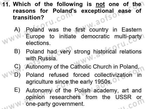 Global Political Economy Dersi 2024 - 2025 Yılı Yaz Okulu Sınav Soruları 11. Soru