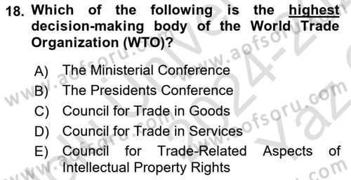 Global Political Economy Dersi 2024 - 2025 Yılı Yaz Okulu Sınav Soruları 18. Soru