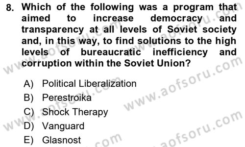 Global Political Economy Dersi 2024 - 2025 Yılı Yaz Okulu Sınav Soruları 8. Soru