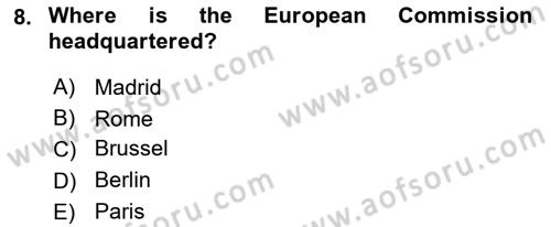 Global Political Economy Dersi 2025 - 2026 Yılı (Vize) Ara Sınav Soruları 8. Soru