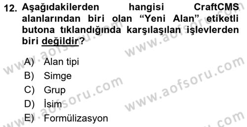 İçerik Yönetim Sistemleri Dersi 2018 - 2019 Yılı Yaz Okulu Sınav Soruları 12. Soru