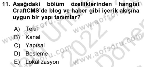 İçerik Yönetim Sistemleri Dersi 2022 - 2023 Yılı (Final) Dönem Sonu Sınav Soruları 11. Soru