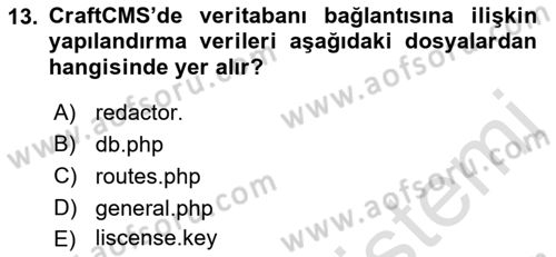 İçerik Yönetim Sistemleri Dersi 2022 - 2023 Yılı Yaz Okulu Sınav Soruları 13. Soru