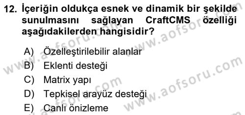 İçerik Yönetim Sistemleri Dersi 2023 - 2024 Yılı (Final) Dönem Sonu Sınav Soruları 12. Soru