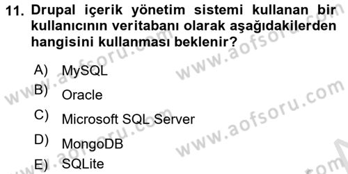 İçerik Yönetim Sistemleri Dersi 2023 - 2024 Yılı Yaz Okulu Sınav Soruları 11. Soru