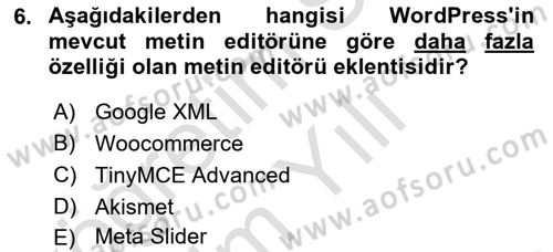 İçerik Yönetim Sistemleri Dersi 2023 - 2024 Yılı Yaz Okulu Sınav Soruları 6. Soru