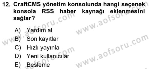 İçerik Yönetim Sistemleri Dersi 2024 - 2025 Yılı (Final) Dönem Sonu Sınav Soruları 12. Soru