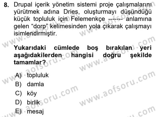 İçerik Yönetim Sistemleri Dersi 2024 - 2025 Yılı (Final) Dönem Sonu Sınav Soruları 8. Soru