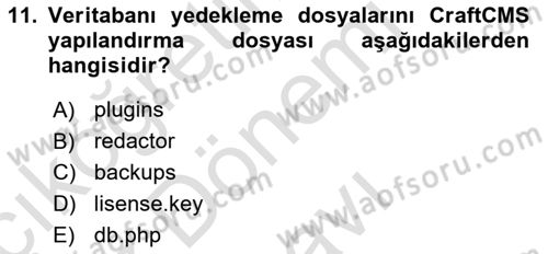 İçerik Yönetim Sistemleri Dersi 2025 - 2026 Yılı (Final) Dönem Sonu Sınav Soruları 11. Soru
