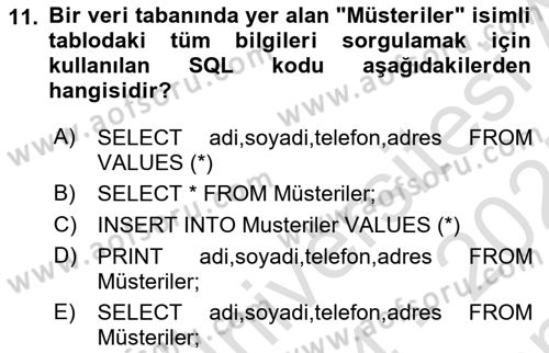 Web Yayıncılığı Dersi 2024 - 2025 Yılı (Final) Dönem Sonu Sınav Soruları 11. Soru
