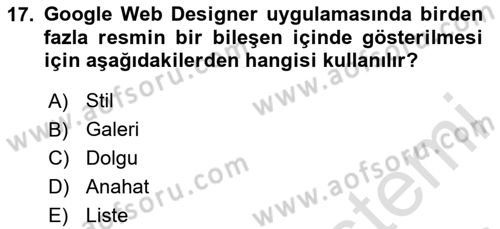 Web Yayıncılığı Araçları Dersi 2023 - 2024 Yılı (Vize) Ara Sınav Soruları 17. Soru