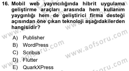 Web Yayıncılığı Araçları Dersi 2023 - 2024 Yılı (Final) Dönem Sonu Sınav Soruları 16. Soru