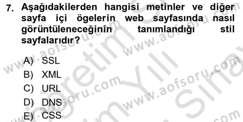 Web Yayıncılığı Araçları Dersi 2023 - 2024 Yılı (Final) Dönem Sonu Sınav Soruları 7. Soru