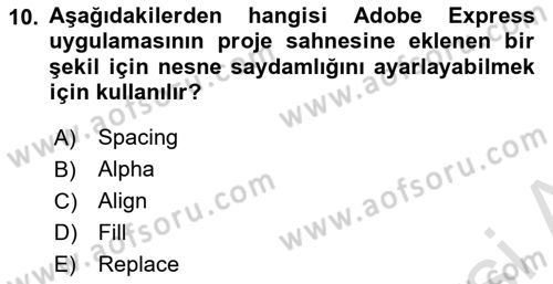 Web Yayıncılığı Araçları Dersi 2023 - 2024 Yılı Yaz Okulu Sınav Soruları 10. Soru