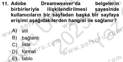 Web Yayıncılığı Araçları Dersi 2023 - 2024 Yılı Yaz Okulu Sınav Soruları 11. Soru