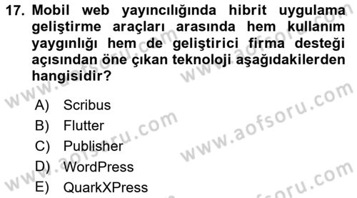 Web Yayıncılığı Araçları Dersi 2023 - 2024 Yılı Yaz Okulu Sınav Soruları 17. Soru