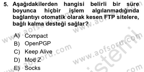 Web Yayıncılığı Araçları Dersi 2023 - 2024 Yılı Yaz Okulu Sınav Soruları 5. Soru