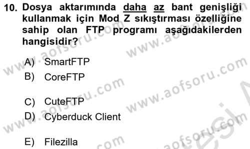 Web Yayıncılığı Araçları Dersi 2024 - 2025 Yılı (Vize) Ara Sınav Soruları 10. Soru