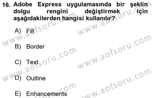 Web Yayıncılığı Araçları Dersi 2024 - 2025 Yılı (Vize) Ara Sınav Soruları 16. Soru