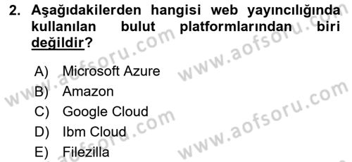 Web Yayıncılığı Araçları Dersi 2024 - 2025 Yılı (Vize) Ara Sınav Soruları 2. Soru