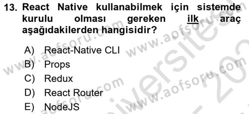 Web Yayıncılığı Araçları Dersi 2024 - 2025 Yılı (Final) Dönem Sonu Sınav Soruları 13. Soru