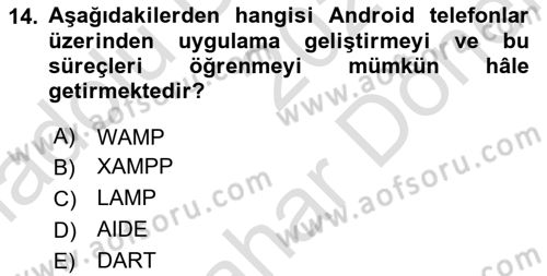 Web Yayıncılığı Araçları Dersi 2024 - 2025 Yılı (Final) Dönem Sonu Sınav Soruları 14. Soru