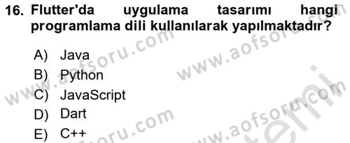 Web Yayıncılığı Araçları Dersi 2024 - 2025 Yılı (Final) Dönem Sonu Sınav Soruları 16. Soru