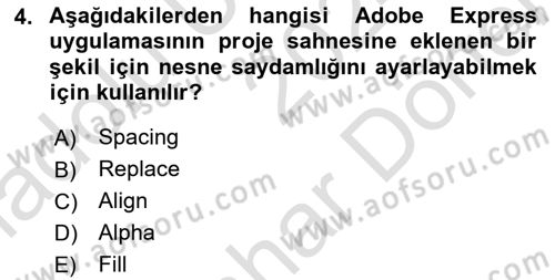 Web Yayıncılığı Araçları Dersi 2024 - 2025 Yılı (Final) Dönem Sonu Sınav Soruları 4. Soru