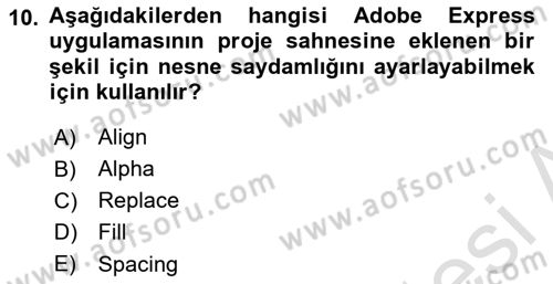 Web Yayıncılığı Araçları Dersi 2024 - 2025 Yılı Yaz Okulu Sınav Soruları 10. Soru