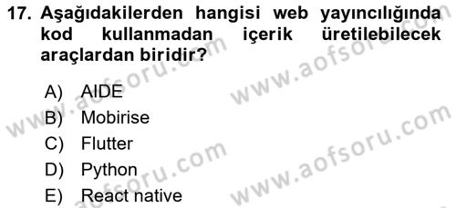 Web Yayıncılığı Araçları Dersi 2024 - 2025 Yılı Yaz Okulu Sınav Soruları 17. Soru