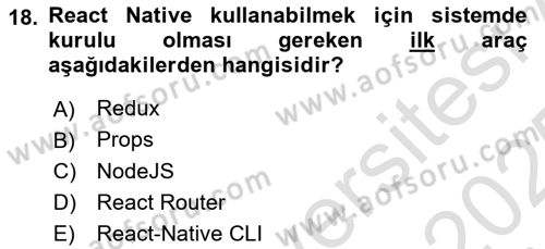 Web Yayıncılığı Araçları Dersi 2024 - 2025 Yılı Yaz Okulu Sınav Soruları 18. Soru