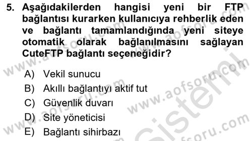 Web Yayıncılığı Araçları Dersi 2024 - 2025 Yılı Yaz Okulu Sınav Soruları 5. Soru