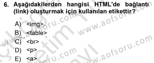 Web Yayıncılığı Araçları Dersi 2024 - 2025 Yılı Yaz Okulu Sınav Soruları 6. Soru